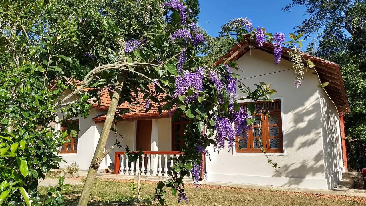 The Pepper Cottage Gomagoda Dış mekan fotoğraf